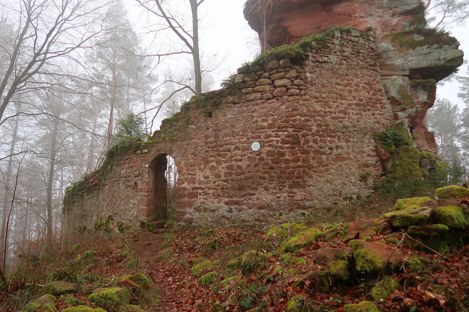 Burg Wineck burgenparadies.de